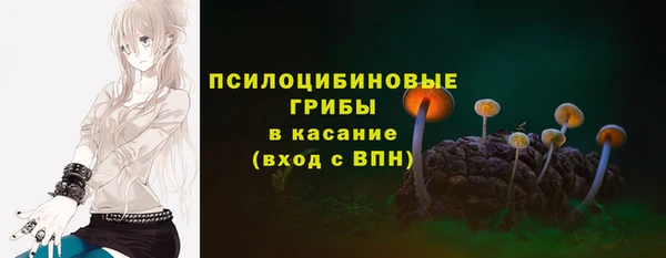 круглые Дмитриев